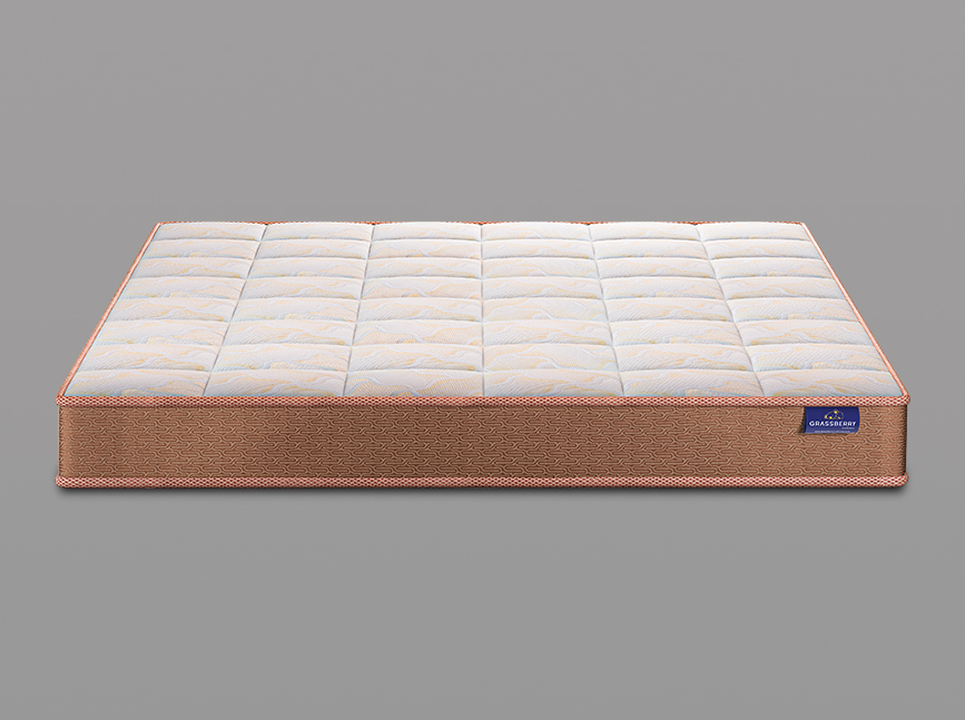 Doctor Orthopedic Mattress