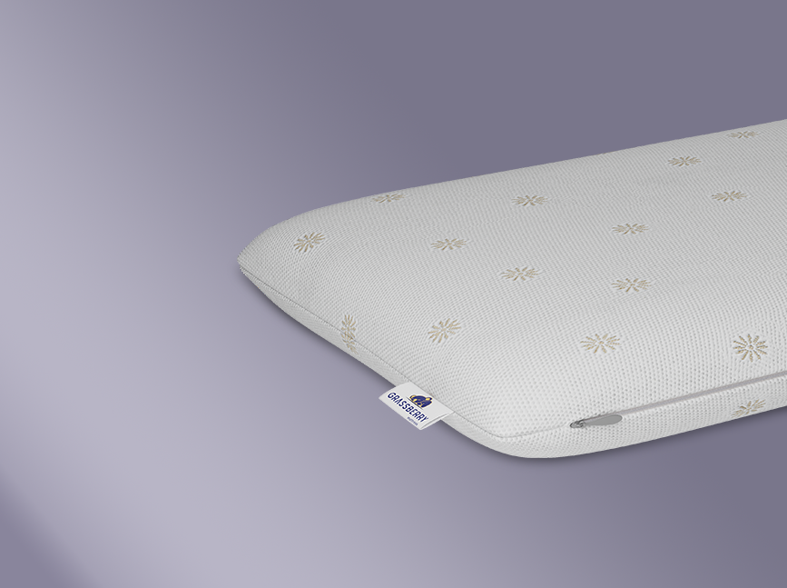 Soft Memory Thin Pillow