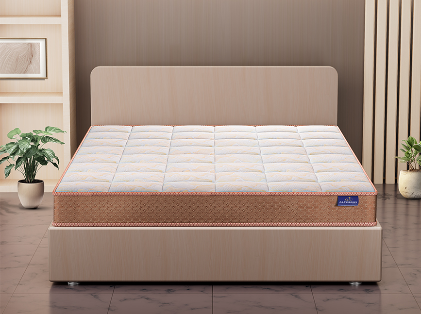 Doctor Orthopedic Mattress