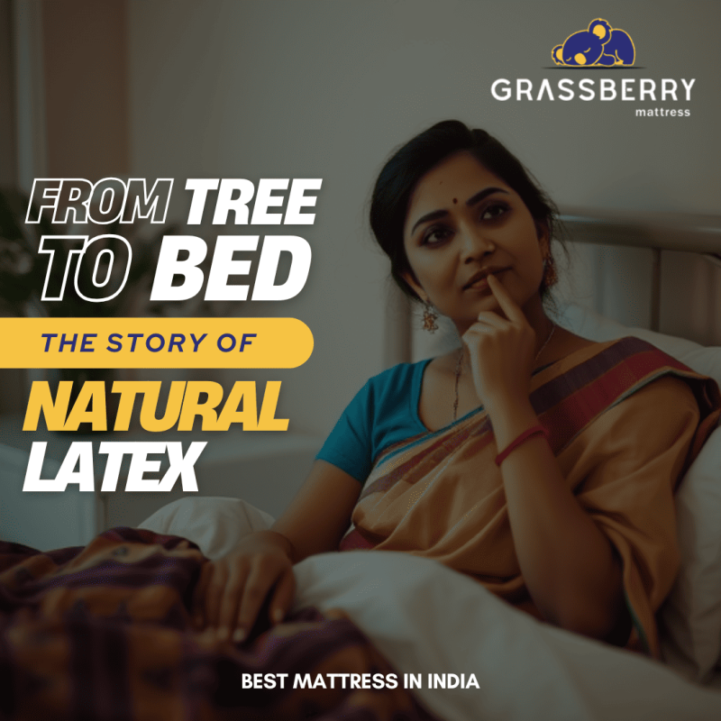 From Tree to Bed: The Sustainable Story of Natural Latex Mattresses