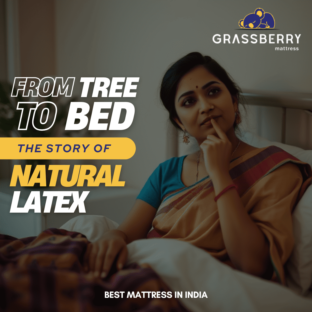 Learn about the sustainable sourcing and production of natural latex mattresses. Experience the comfort and support of Grassberry's ethically made mattresses.